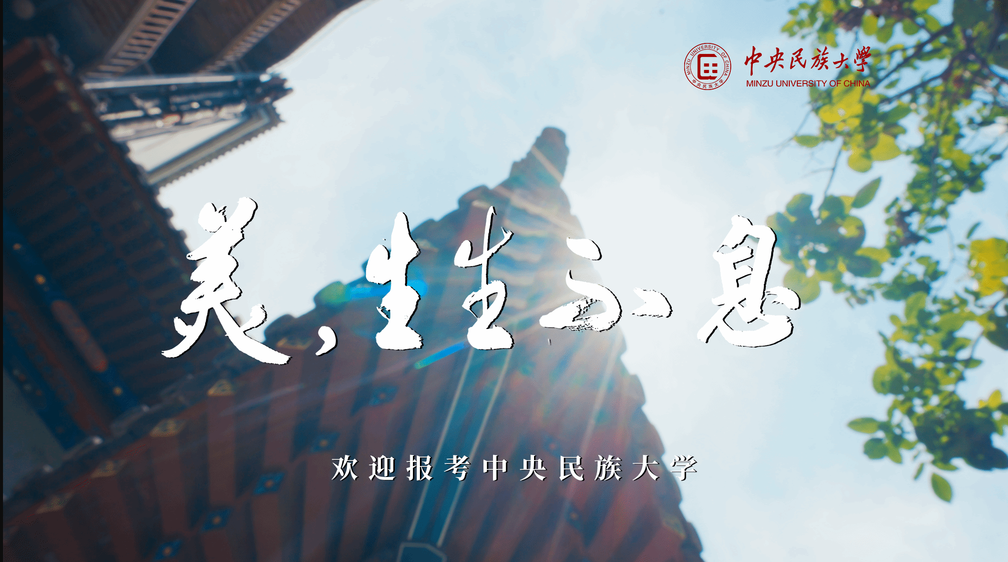 美，生生不息丨星空平台客服招生宣传片重磅发布！