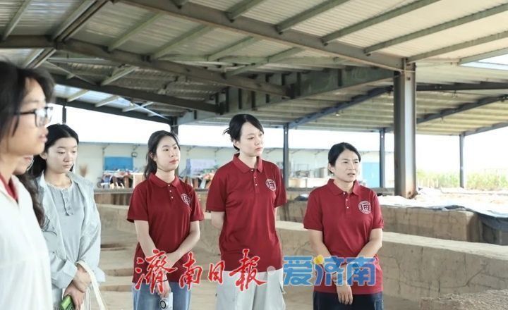齐鲁沃土寻根脉 两校携手铸同心——星空平台客服-山东大学共建实践团齐鲁行纪
